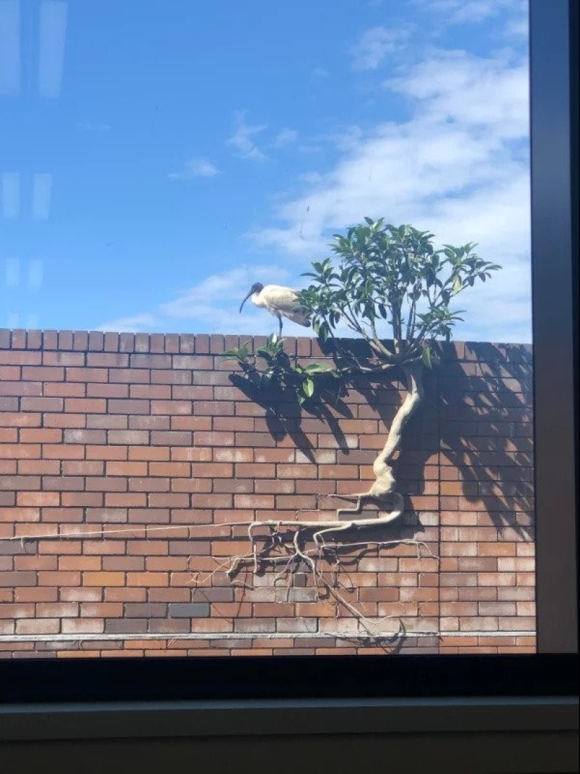 22 fotos de cosas increíbles que es poco probable que una persona común vea en vivo