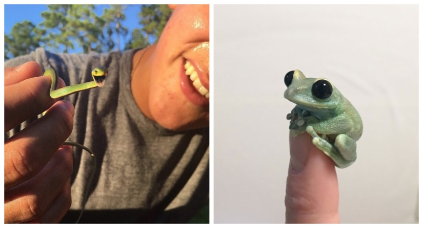 22 fotos de pequeños animales que traen gran alegría