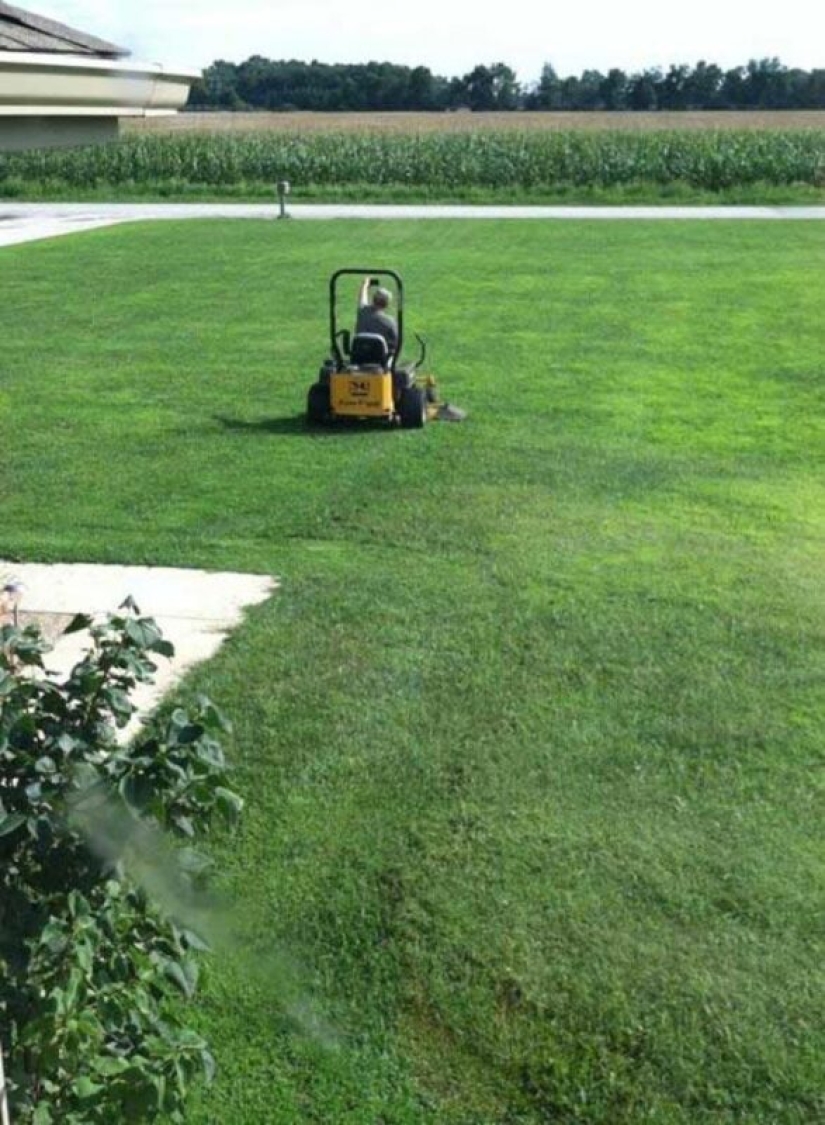 22 fotos de personas atrapadas tomando selfies idiotas 22 fotos de personas atrapadas tomando selfies idiotas