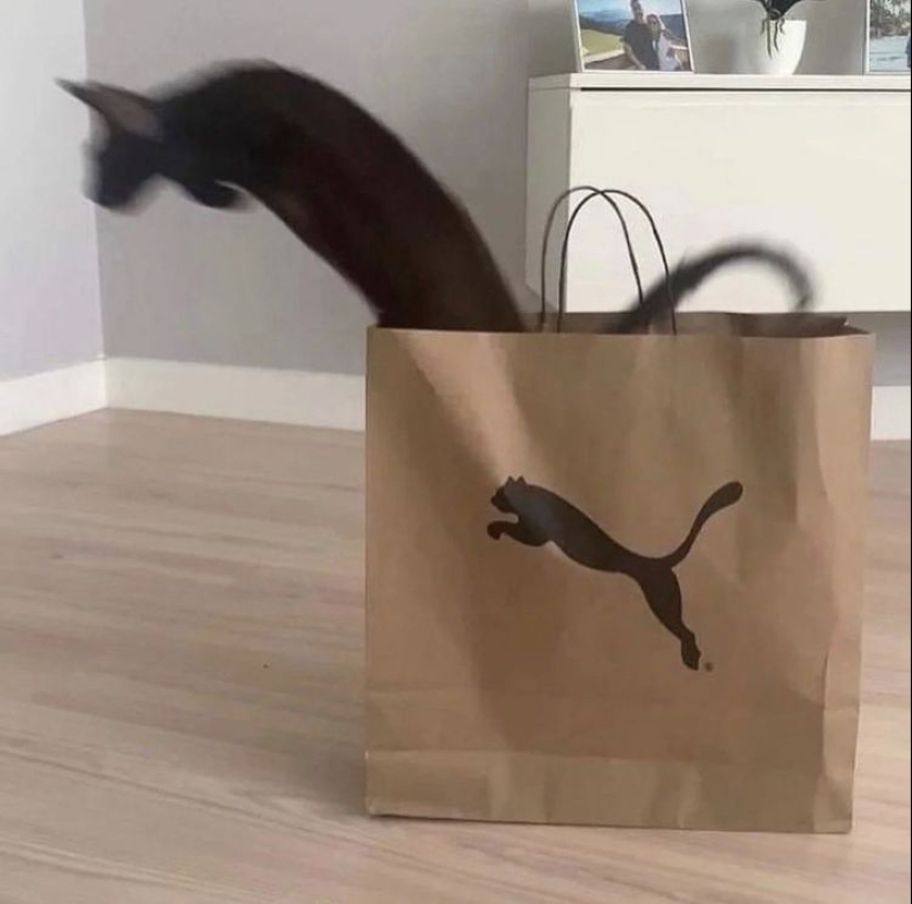 22 fotos desconcertantes que solo explotan el cerebro 22 fotos desconcertantes que solo explotan el cerebro