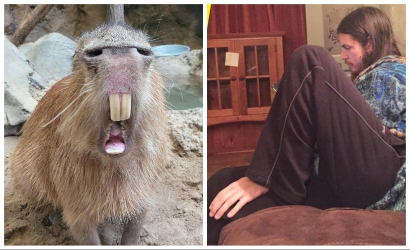 22 fotos divertidas de la serie" it seemed " que vale la pena mirar dos veces