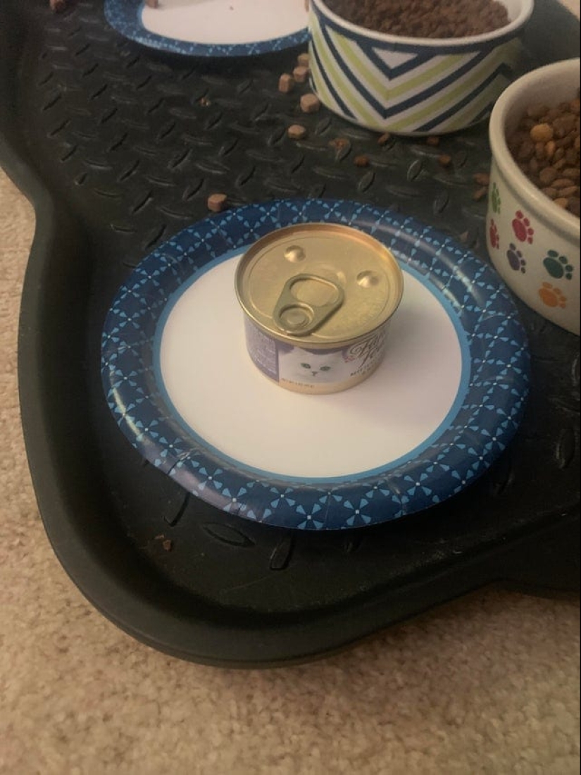 22 fotos divertidas que demuestran la lógica original de los niños en todo su esplendor 22 fotos divertidas que demuestran la lógica original de los niños en todo su esplendor