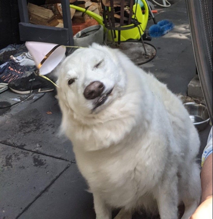 22 fotos divertidas ilusiones ópticas que se debe confundir cualquier 22 fotos divertidas ilusiones ópticas que se debe confundir cualquier