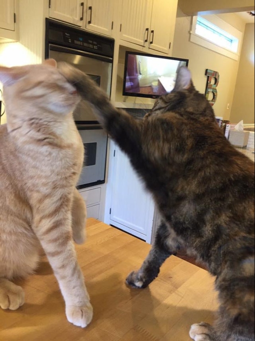 22 fotos divertidas ilusiones ópticas que se debe confundir cualquier 22 fotos divertidas ilusiones ópticas que se debe confundir cualquier