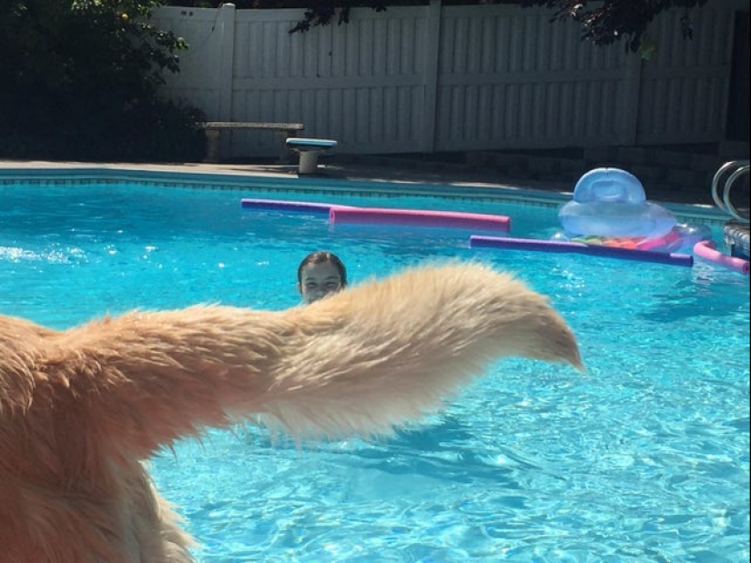 22 fotos divertidas ilusiones ópticas que se debe confundir cualquier 22 fotos divertidas ilusiones ópticas que se debe confundir cualquier