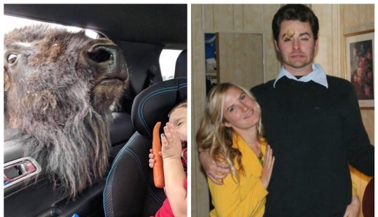 22 fotos divertidas ilusiones ópticas que se debe confundir cualquier