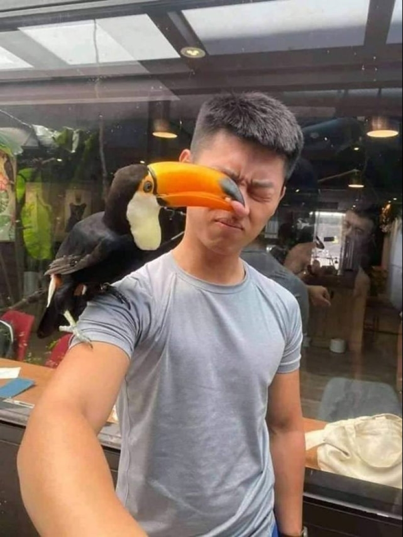 22 fotos divertidas ilusiones ópticas que se debe confundir cualquier 22 fotos divertidas ilusiones ópticas que se debe confundir cualquier