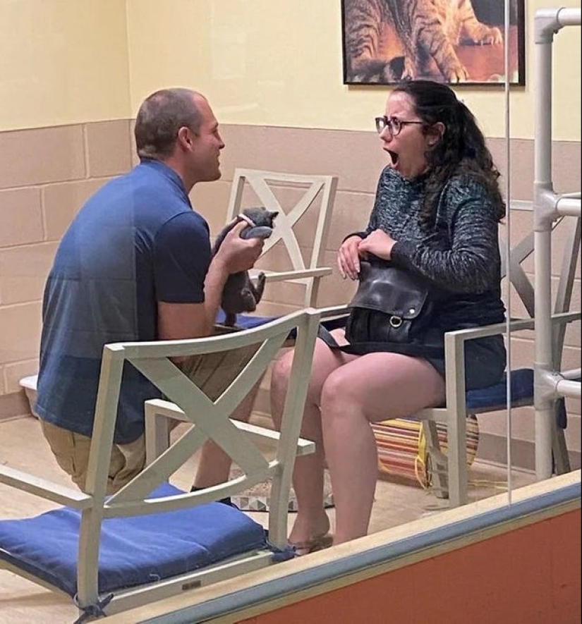 22 fotos donde el nivel de mimetismo está fuera de escala 22 fotos donde el nivel de mimetismo está fuera de escala