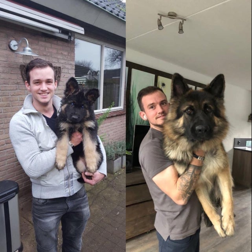 22 fotos donde el nivel de mimetismo está fuera de escala 22 fotos donde el nivel de mimetismo está fuera de escala