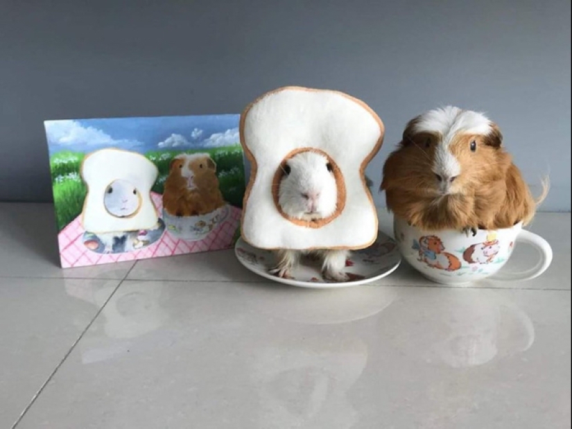 22 fotos donde no se puede saber dónde está la vida y dónde está el arte