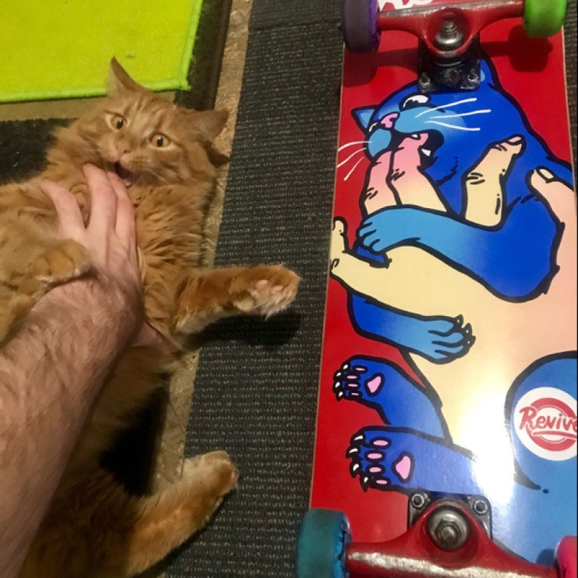 22 fotos donde no se puede saber dónde está la vida y dónde está el arte