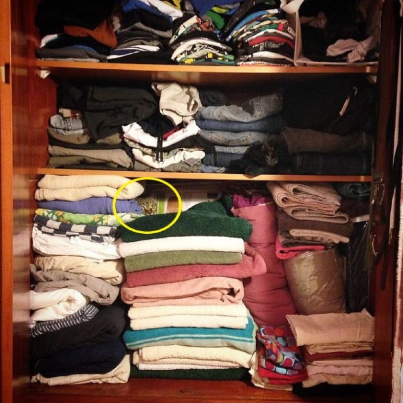 22 fotos donde se escondieron los animales, pero no los encontrarás