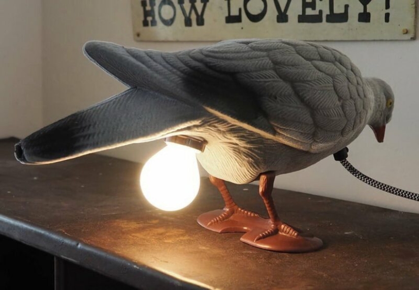 22 fotos en las que algo inexplicable, pero muy interesante, está sucediendo 22 fotos en las que algo inexplicable, pero muy interesante, está sucediendo