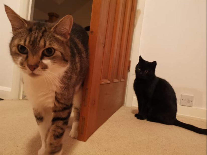 22 fotos en las que suceden cosas extrañas