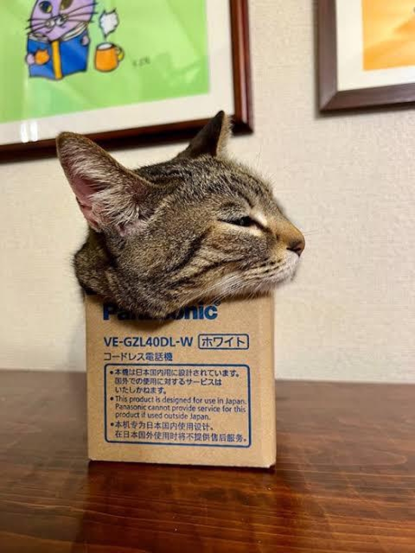 22 fotos en las que suceden cosas extrañas