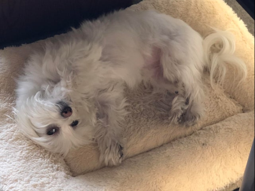 22 fotos en las que suceden cosas extrañas