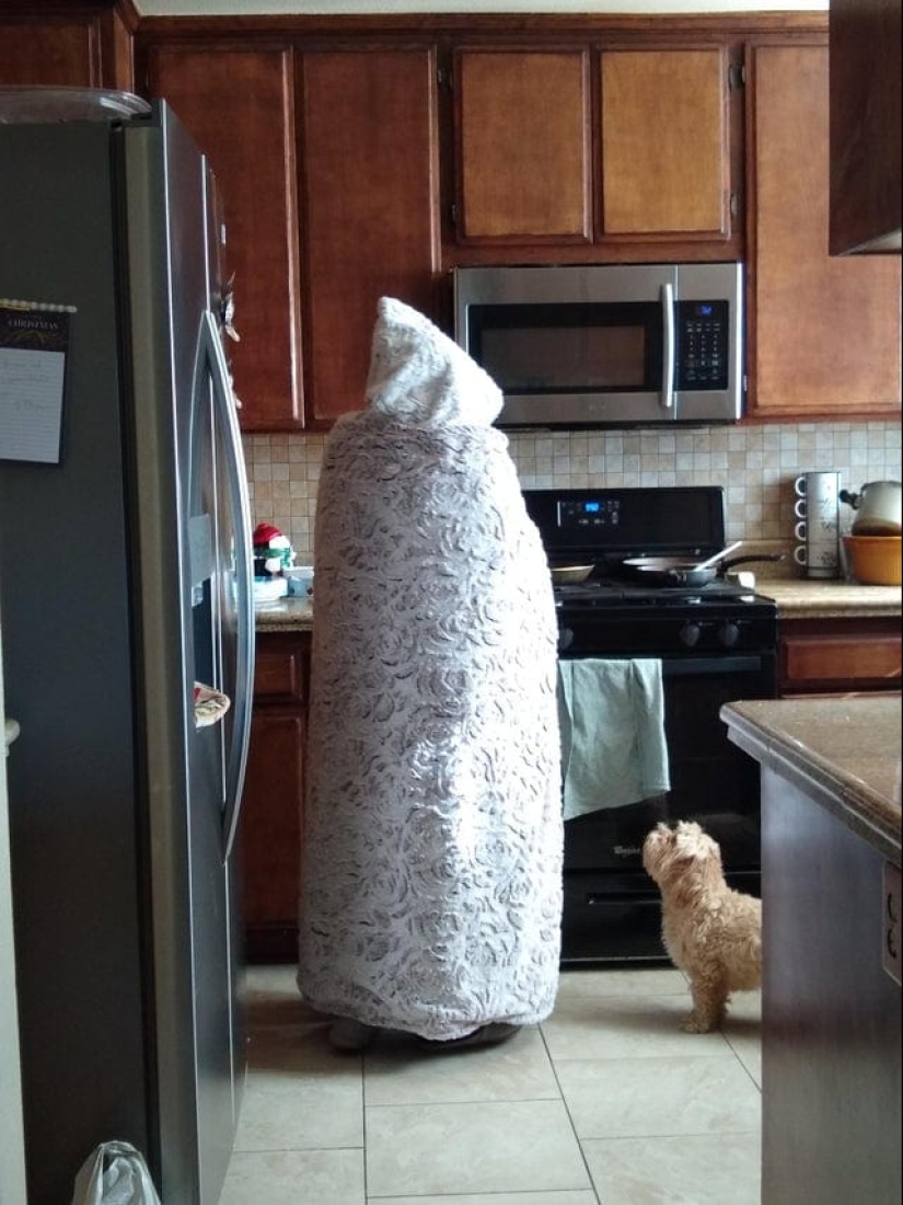 22 fotos lindas y divertidas de abuelas que saben sorprender 22 fotos lindas y divertidas de abuelas que saben sorprender