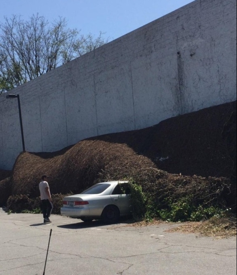 22 fotos llenas de dolor y decepción 22 fotos llenas de dolor y decepción