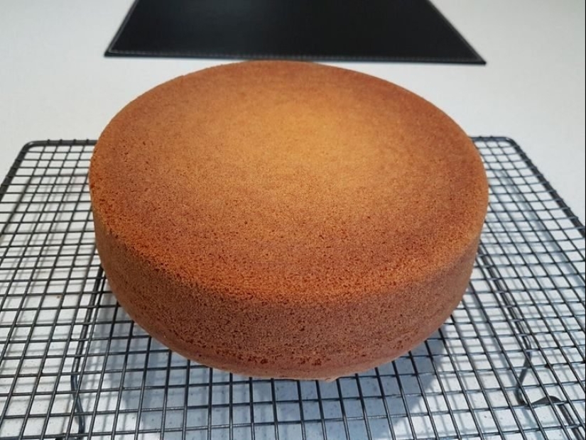 22 fotos perfectas para el máximo disfrute visual