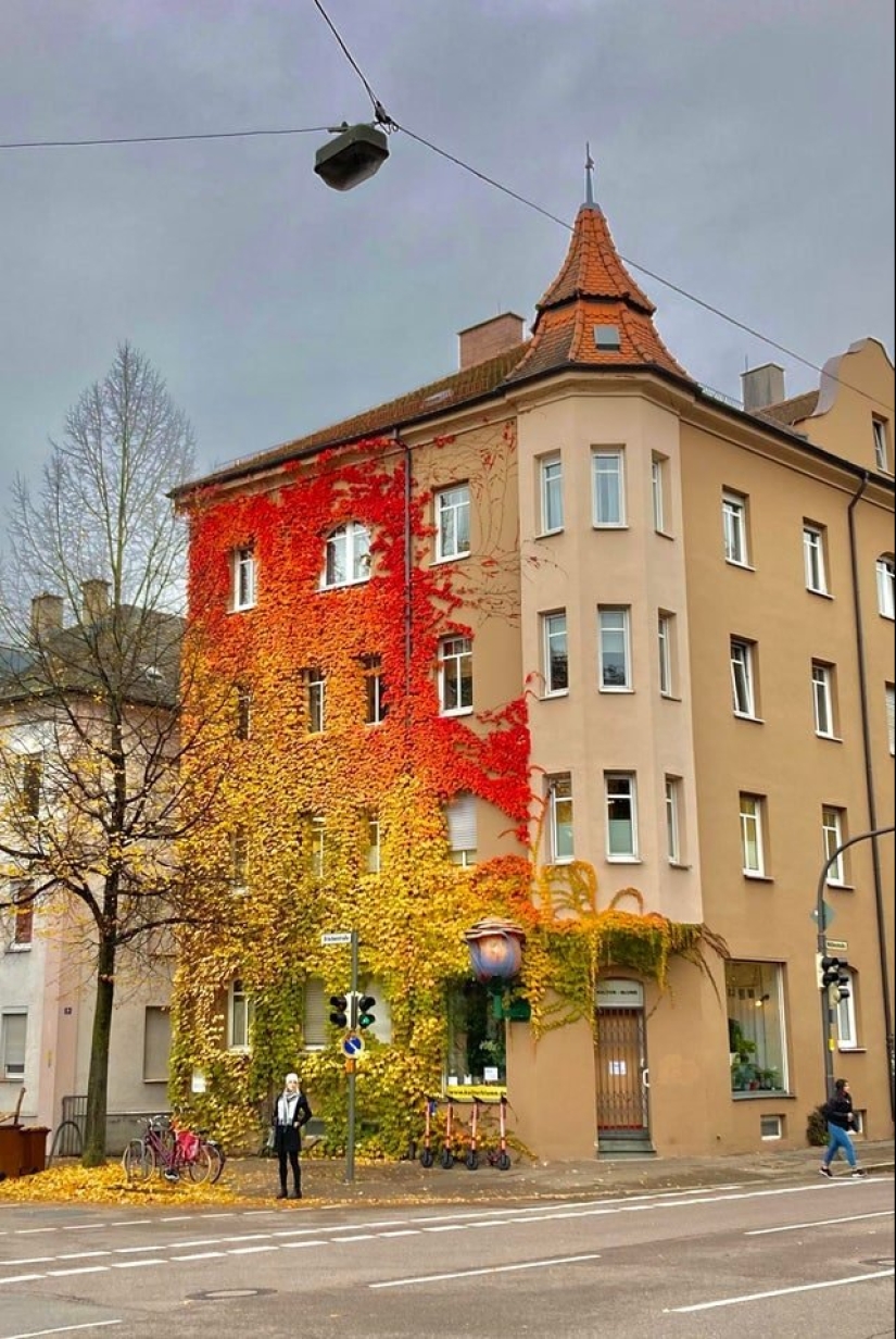 22 fotos perfectas para el máximo disfrute visual