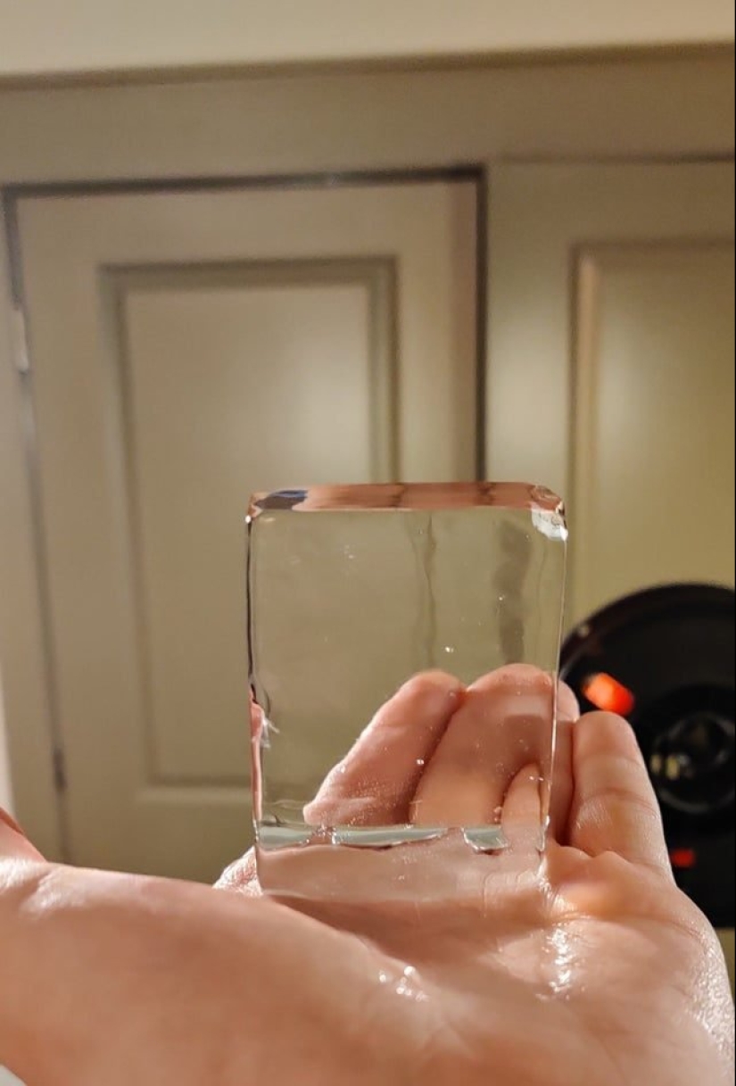 22 fotos perfectas para el máximo disfrute visual