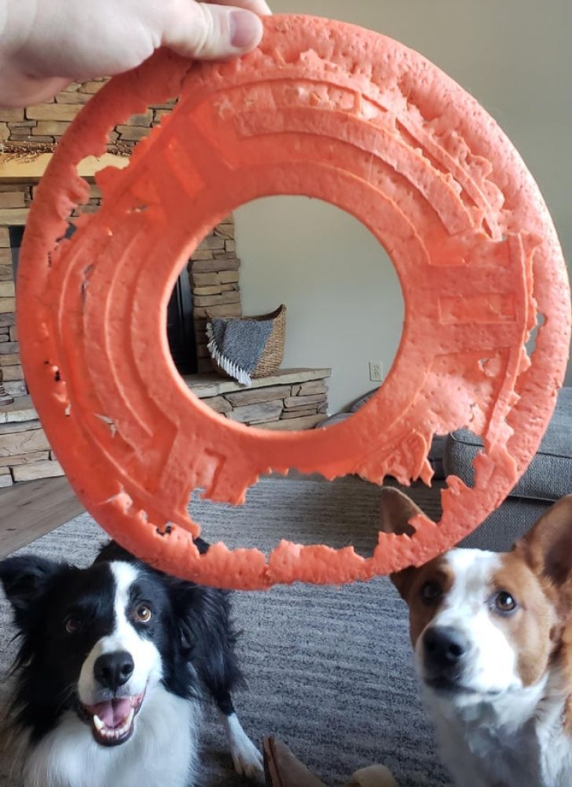 22 fotos que el propio Time podría publicar si tuviera una cuenta de redes sociales 22 fotos que el propio Time podría publicar si tuviera una cuenta de redes sociales