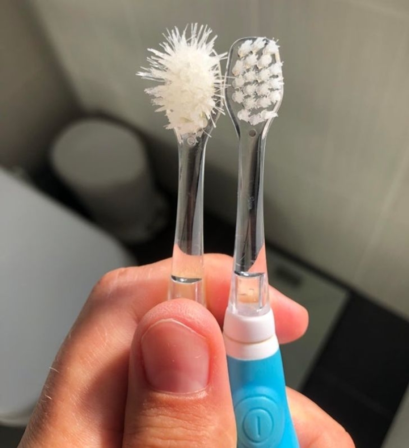 22 fotos que el propio Time podría publicar si tuviera una cuenta de redes sociales 22 fotos que el propio Time podría publicar si tuviera una cuenta de redes sociales