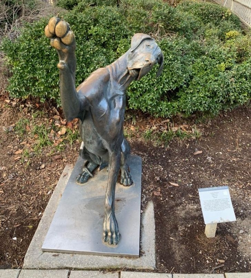 22 fotos que el propio Time podría publicar si tuviera una cuenta de redes sociales 22 fotos que el propio Time podría publicar si tuviera una cuenta de redes sociales