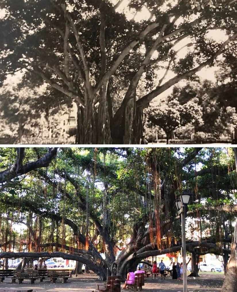 22 fotos que el propio Time podría publicar si tuviera una cuenta de redes sociales 22 fotos que el propio Time podría publicar si tuviera una cuenta de redes sociales