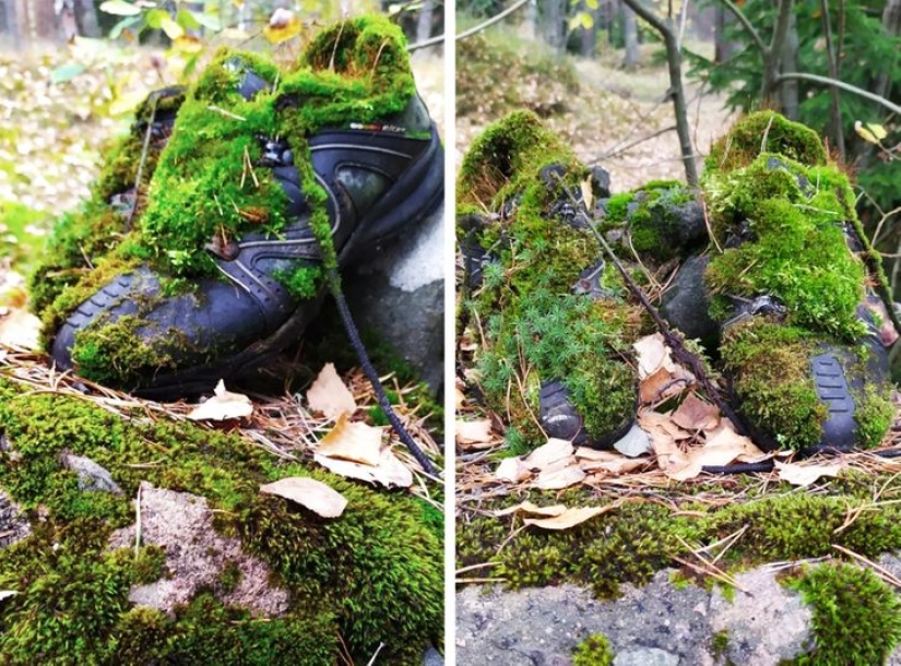 22 fotos que el propio Time podría publicar si tuviera una cuenta de redes sociales 22 fotos que el propio Time podría publicar si tuviera una cuenta de redes sociales