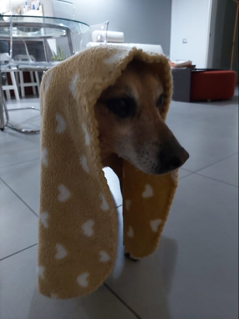 22 fotos que han adquirido un significado especial debido a un ángulo fallido 22 fotos que han adquirido un significado especial debido a un ángulo fallido