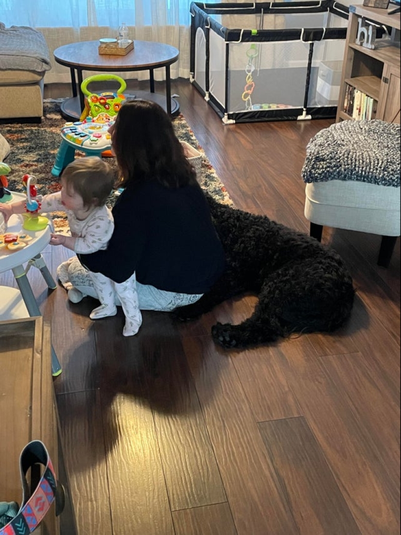 22 fotos que han adquirido un significado especial debido a un ángulo fallido 22 fotos que han adquirido un significado especial debido a un ángulo fallido