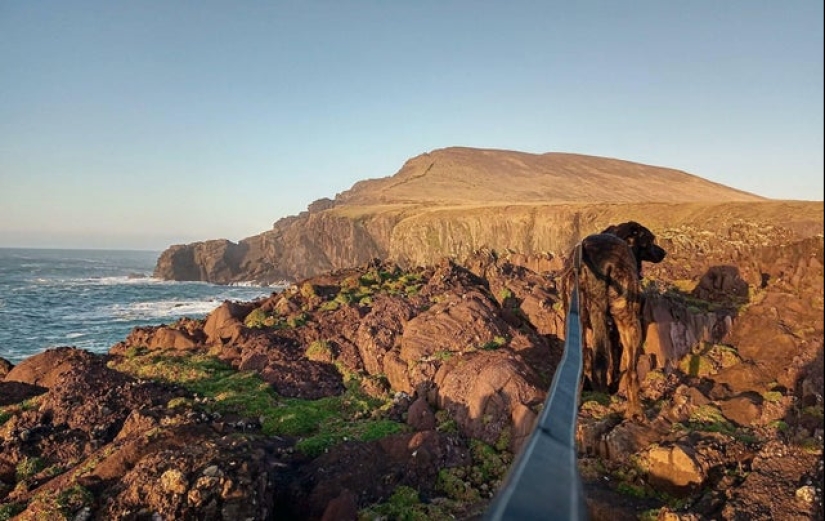 22 fotos que han adquirido un significado especial debido a un ángulo fallido 22 fotos que han adquirido un significado especial debido a un ángulo fallido