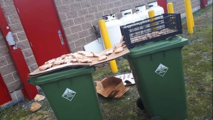 22 fotos que le obligará a renunciar a los alimentos y aprender a cocinar