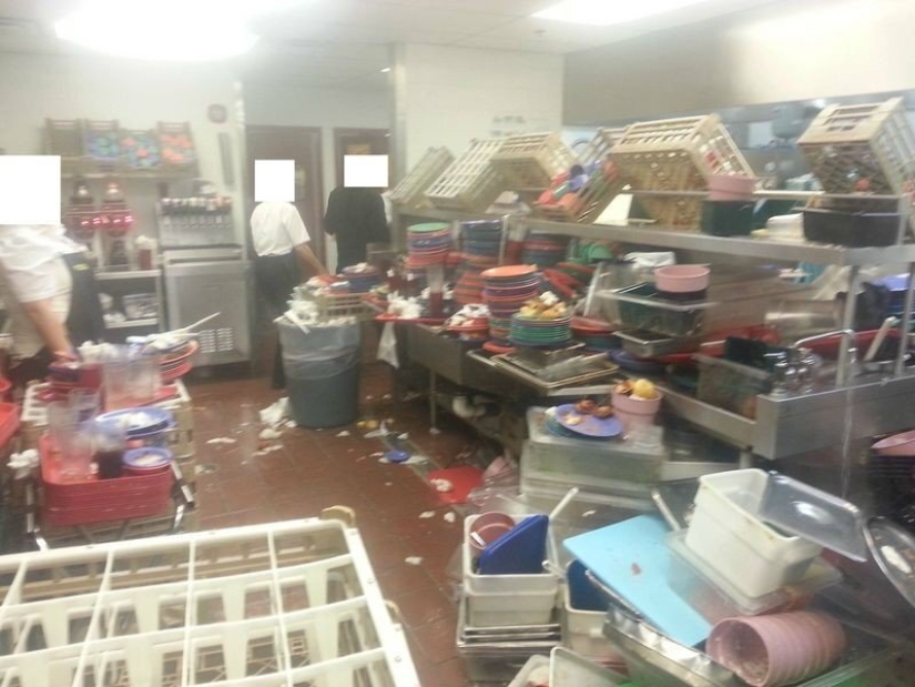 22 fotos que le obligará a renunciar a los alimentos y aprender a cocinar