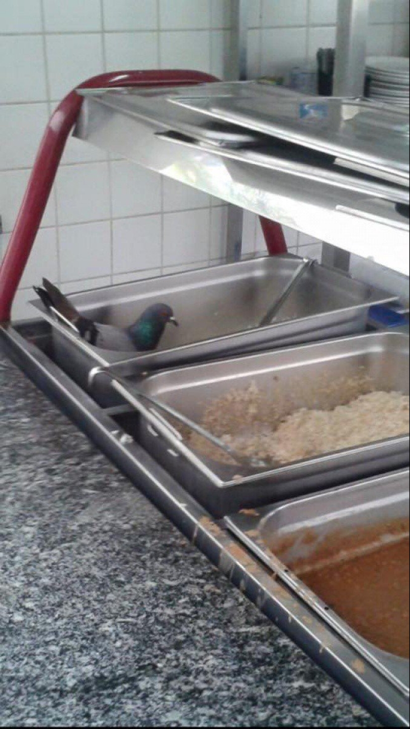 22 fotos que le obligará a renunciar a los alimentos y aprender a cocinar