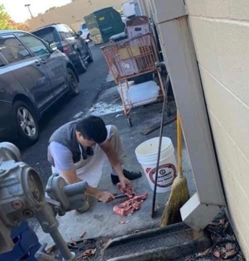 22 fotos que le obligará a renunciar a los alimentos y aprender a cocinar