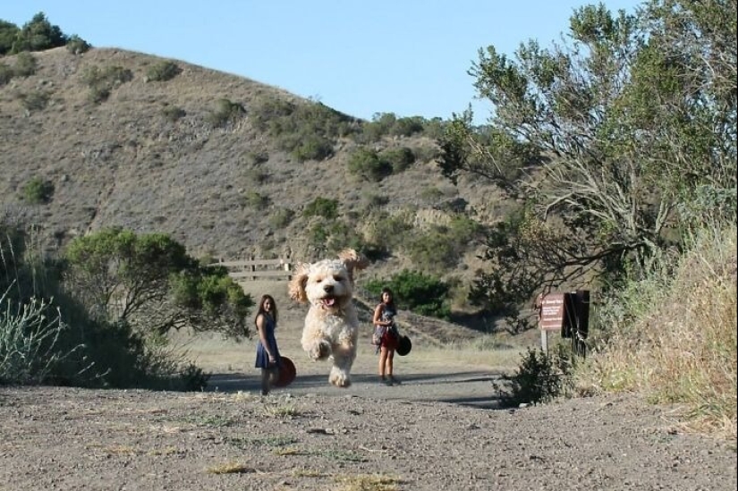 22 fotos que parecen Photoshop, pero son reales 22 fotos que parecen Photoshop, pero son reales