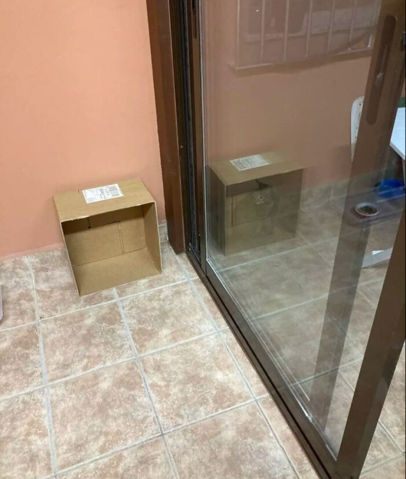 22 fotos que parecen Photoshop, pero son reales 22 fotos que parecen Photoshop, pero son reales