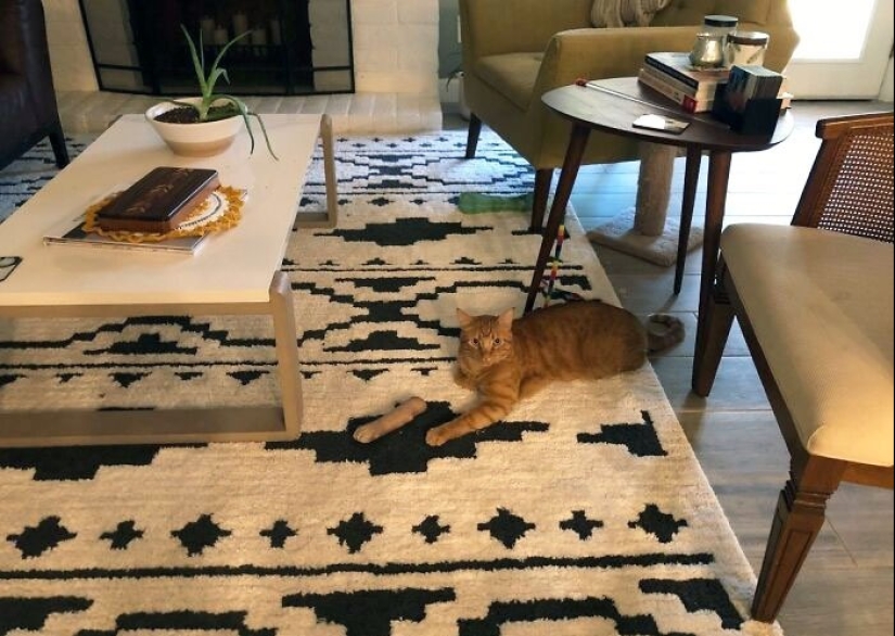 22 fotos que parecen Photoshop, pero son reales 22 fotos que parecen Photoshop, pero son reales