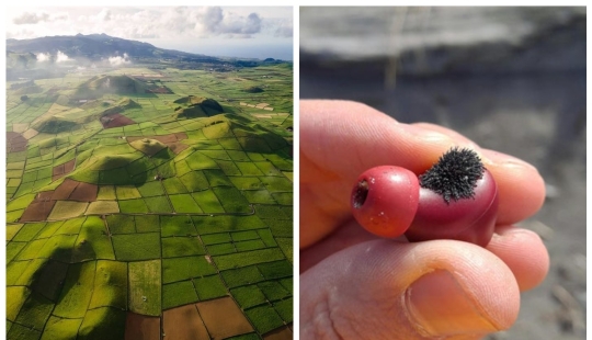 22 fotos que representan cosas increíbles que realmente existen 22 fotos que representan cosas increíbles que realmente existen