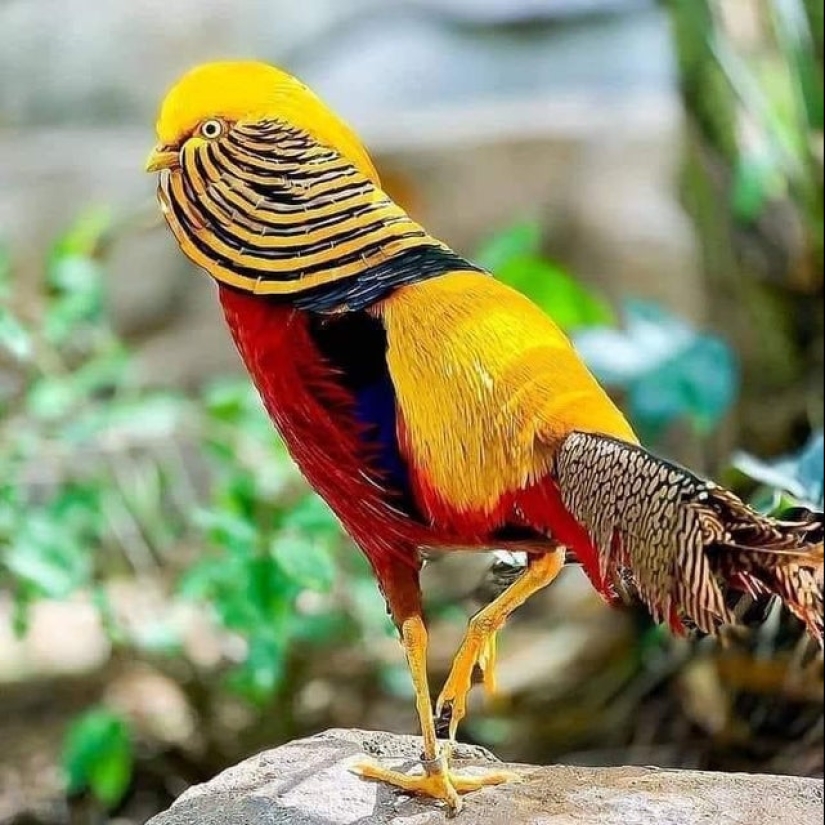 22 fotos que te ayudarán a apreciar la grandeza de la Madre Naturaleza 22 fotos que te ayudarán a apreciar la grandeza de la Madre Naturaleza