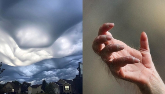 22 fotos que te ayudarán a apreciar la grandeza de la Madre Naturaleza 22 fotos que te ayudarán a apreciar la grandeza de la Madre Naturaleza