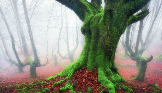 22 fotos reales que parecen imágenes fijas de películas o capturas de pantalla de videojuegos