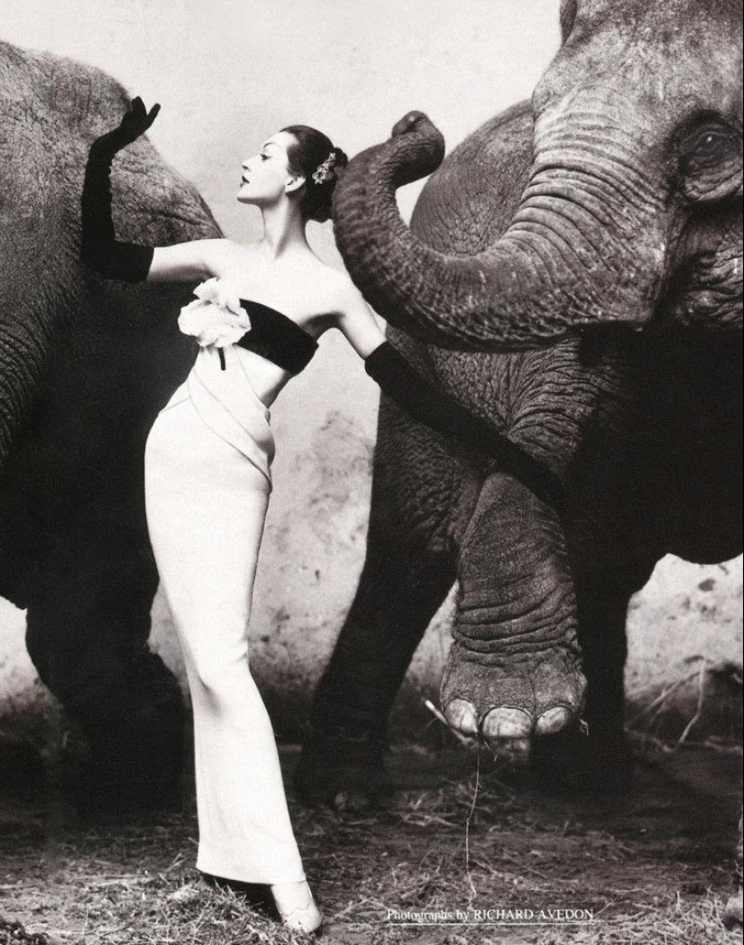 22 fotos retro de modelos de años pasados