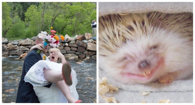 22 fotos tomadas en el momento más oportuno 22 fotos tomadas en el momento más oportuno