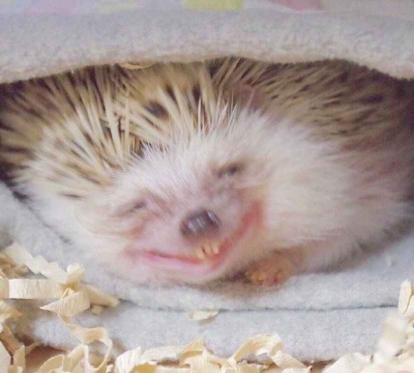 22 fotos tomadas en el momento más oportuno 22 fotos tomadas en el momento más oportuno