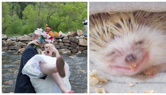 22 fotos tomadas en el momento más oportuno 22 fotos tomadas en el momento más oportuno