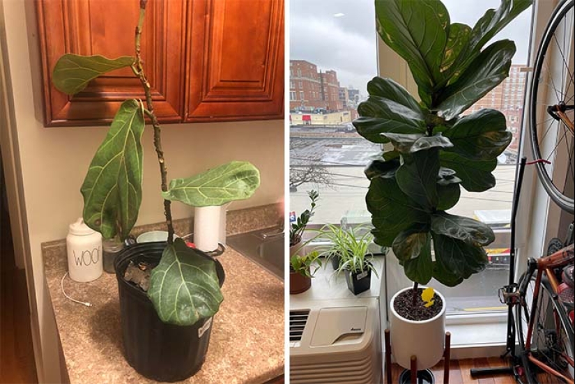 22 fotos, una vez más demostrando que todo es conocido en comparación