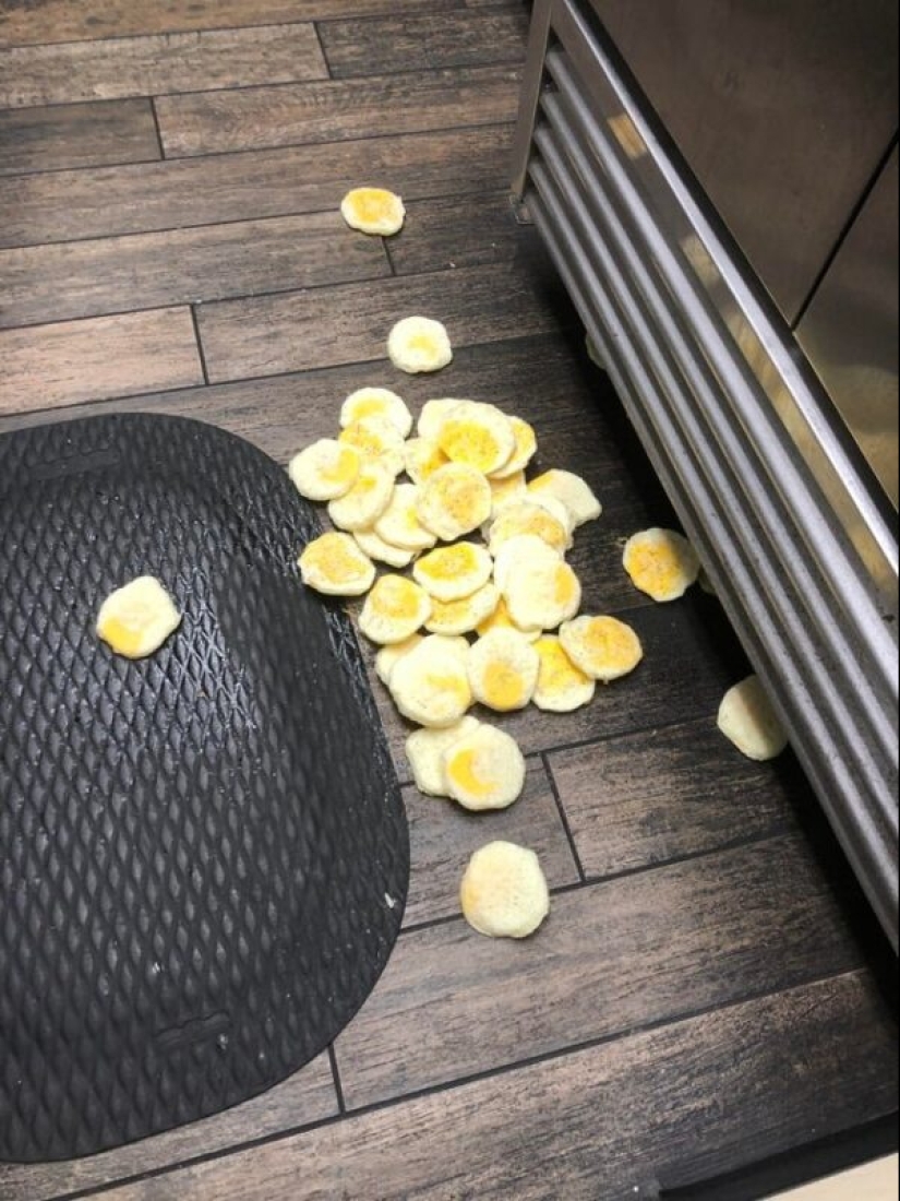 22 fracasos épicos en la cocina, o Cómo no engordar de la comida casera 22 fracasos épicos en la cocina, o Cómo no engordar de la comida casera